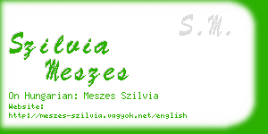 szilvia meszes business card